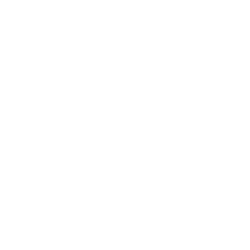 Holosen White Logo
